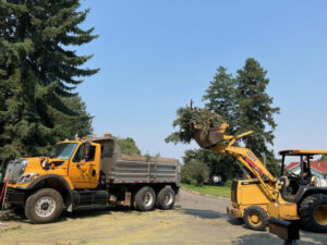 Cleanup and Debris Removal 