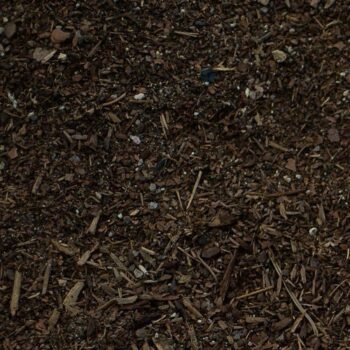 Fresh Soil Pep (Red Pep).