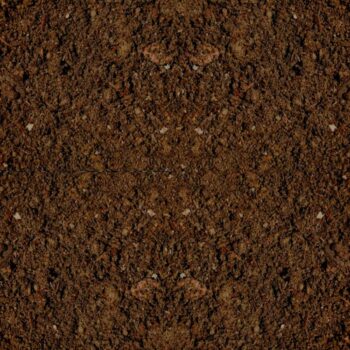 Dark Brown Soil Pep.